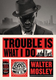 Trouble Is What I Do: Leonid McGill 6 (Leonid McGill mysteries)