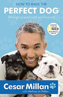 How to Raise the Perfect Dog: Through Puppyhood & Beyond