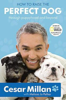 How to Raise the Perfect Dog: Through Puppyhood & Beyond