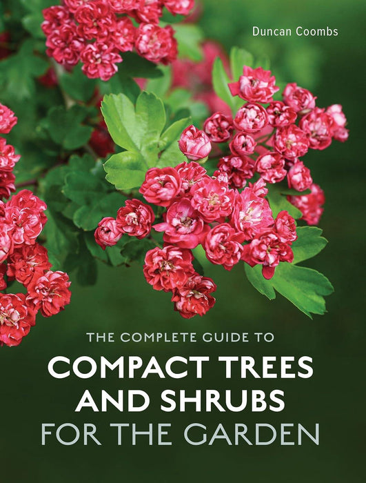 Complete Guide to Compact Trees & Shrubs