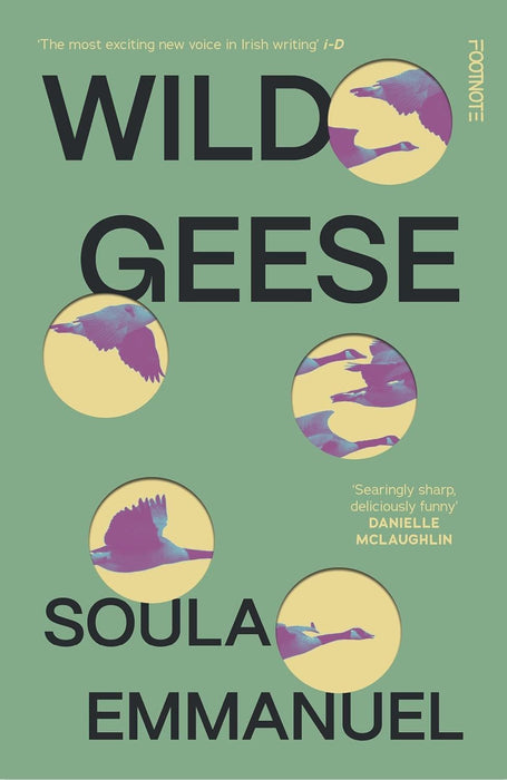Wild Geese: the LAMBDA and GORDON BOWKER VOLCANO PRIZE winner