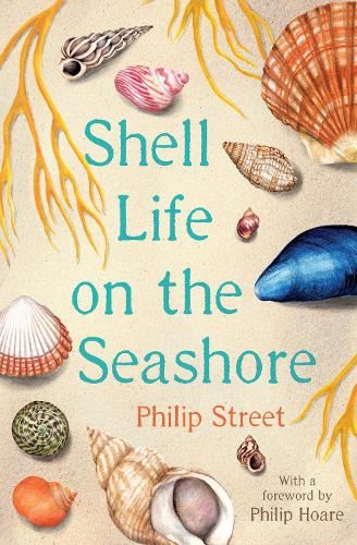 Shell Life on the Seashore — smeikalbooks