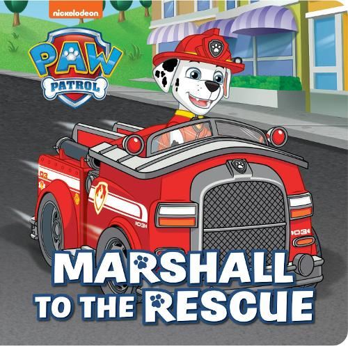 Paw Patrol- Marshall to the Rescue Storyboard