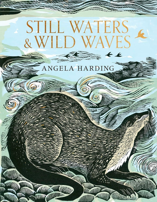 Still Waters & Wild Waves: The beautiful new book from printmaker and illustrator Angela Harding