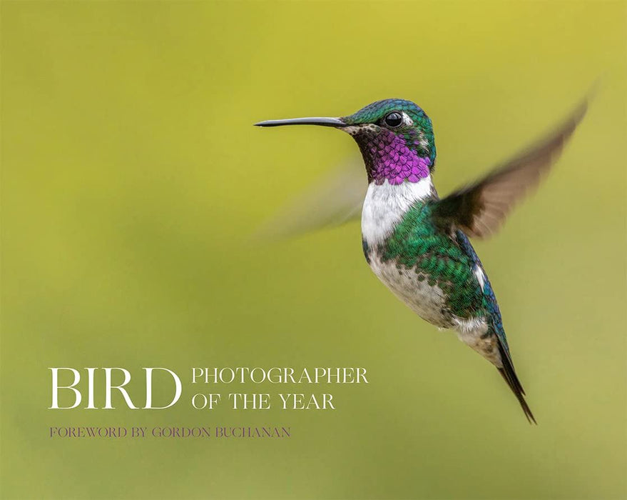 Bird Photographer of the Year