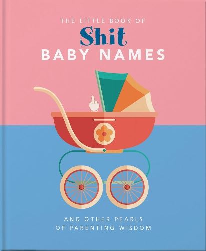The Little Book Of Shit Baby Names