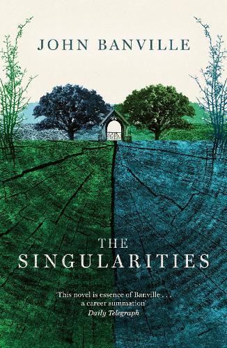 The Singularities: John Banville