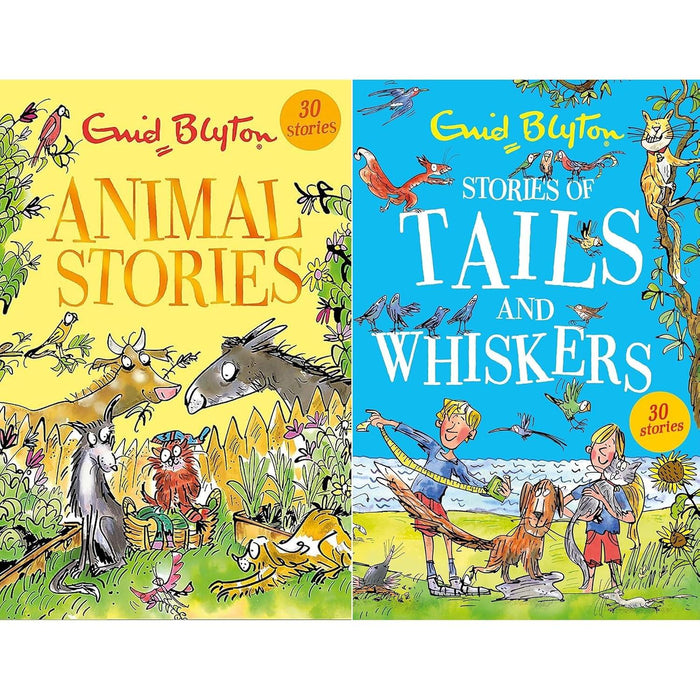Enid Blyton Stories Collection: 2-Book Set
