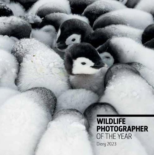 Wildlife Photographer of the Year: Pocket Diary 2023 (Wildlife Photographer of the Year Diaries)