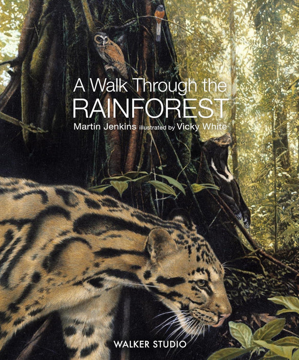 A Walk Through The Rainforest