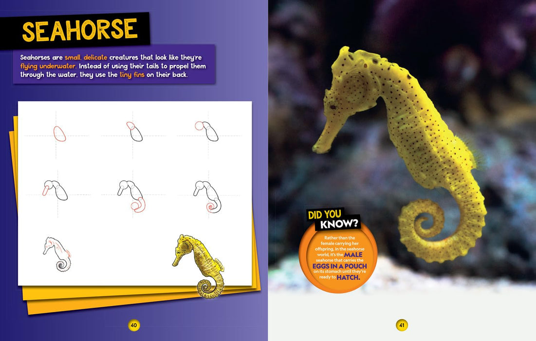 National Geographic Kids: How To Draw Ocean Animals