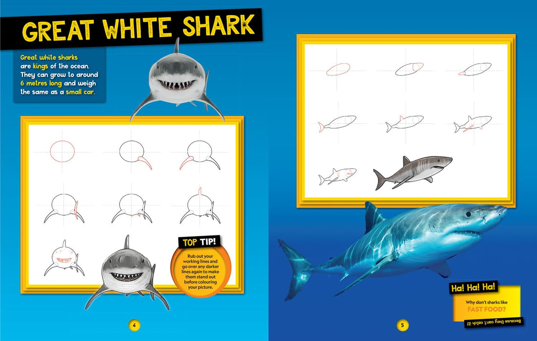 National Geographic Kids: How To Draw Ocean Animals