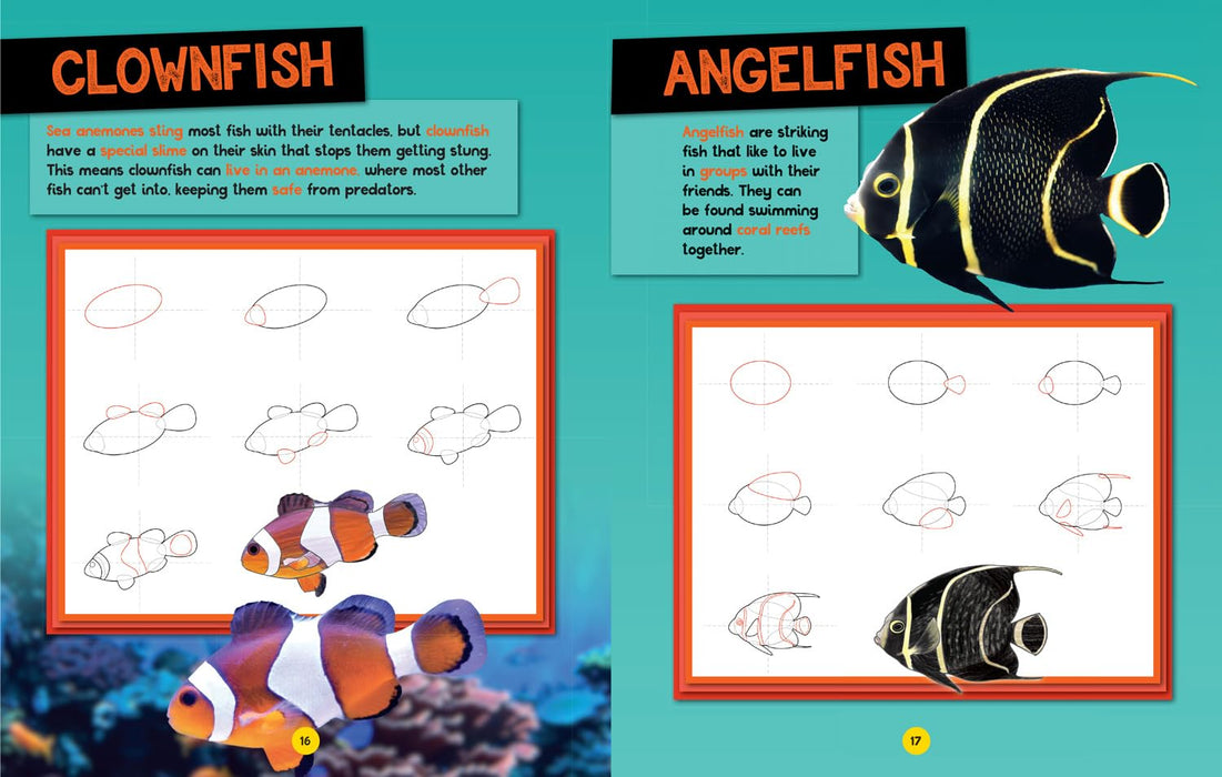 National Geographic Kids: How To Draw Ocean Animals