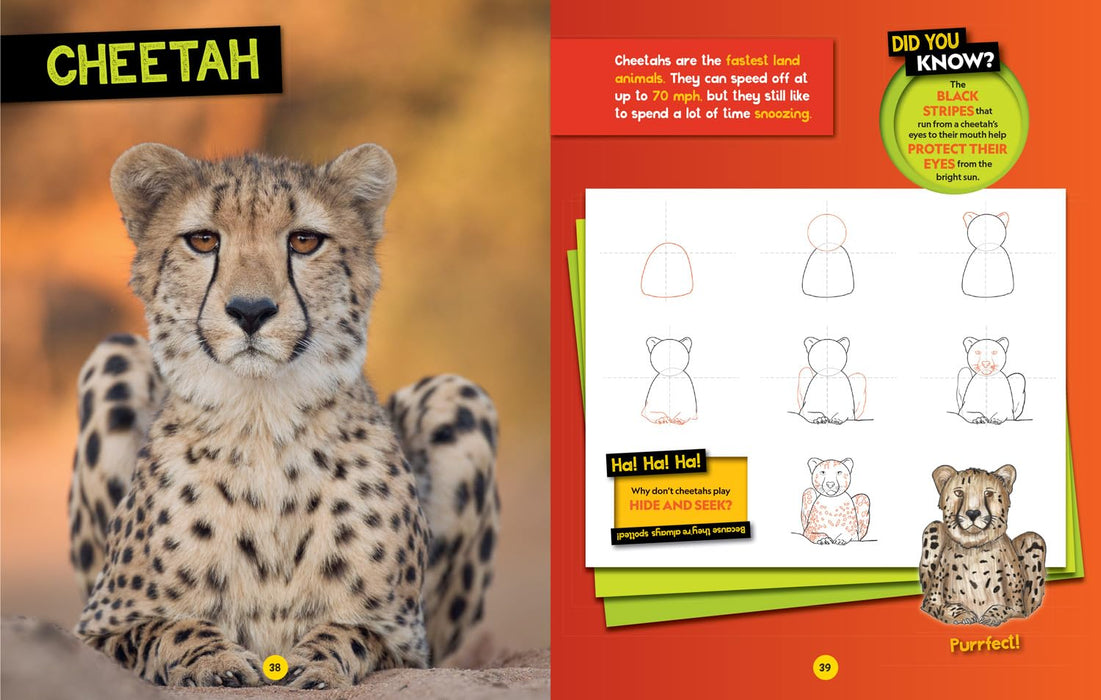 National Geographic Kids: How To Draw Safari Animals