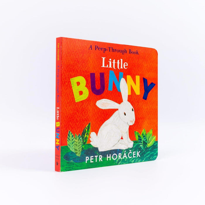 Little Bunny Bb