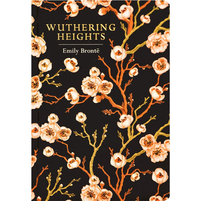 The Gothic & Supernatural Collection: Dracula, Frankenstein, The Phantom of the Opera, The Turn of the Screw & More (Hardcover, 6 Books) in Beautiful Chiltern Classics Editions