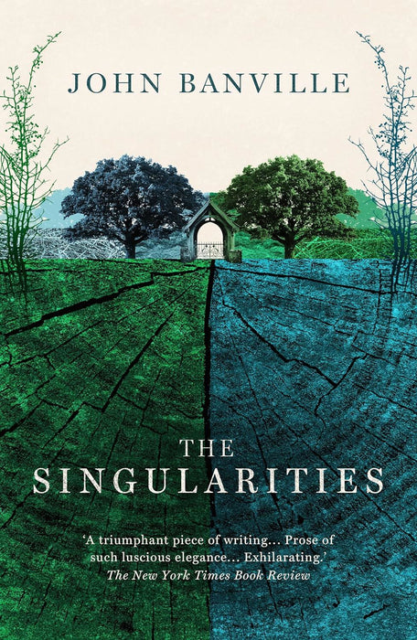 The Singularities: John Banville