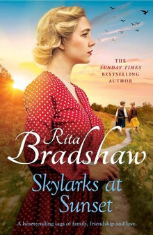 Skylarks At Sunset