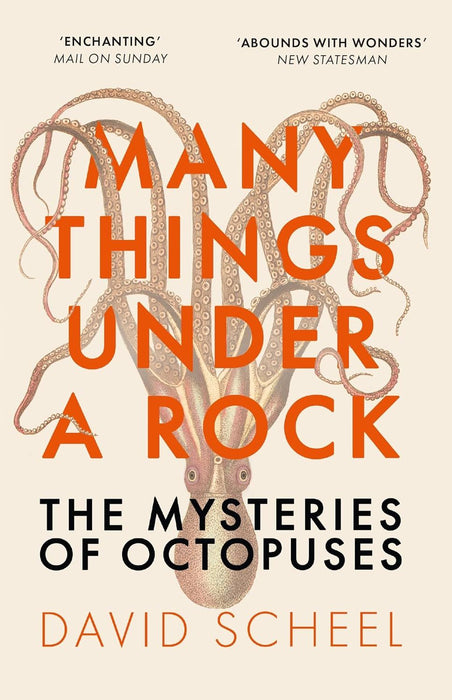 Many Things Under a Rock: The Mysteries of Octopuses