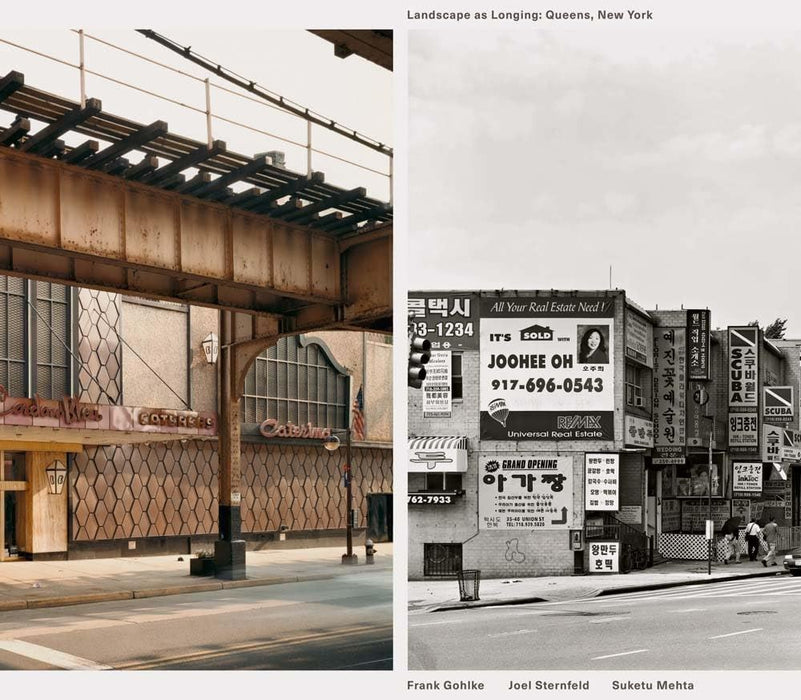 Landscape as Longing: Queen's, New York: Landscape of Longing