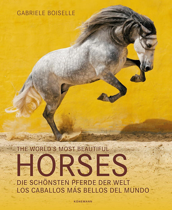 Koenemann: The World's Most Beautiful Horses