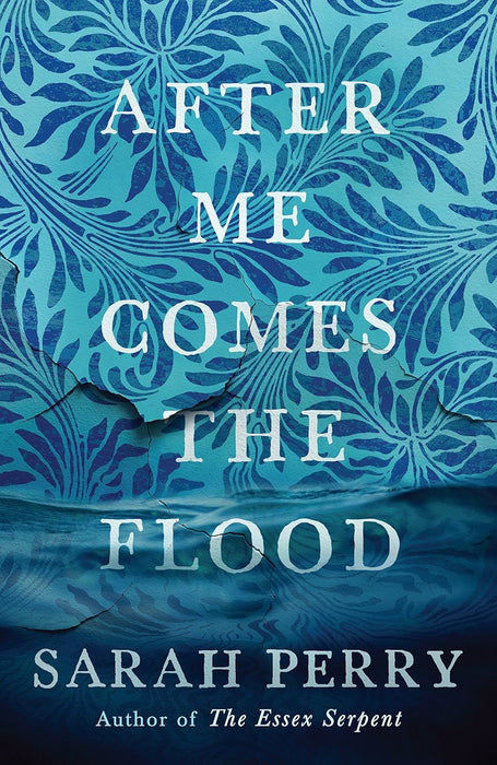 After Me Comes the Flood: From the author of The Essex Serpent