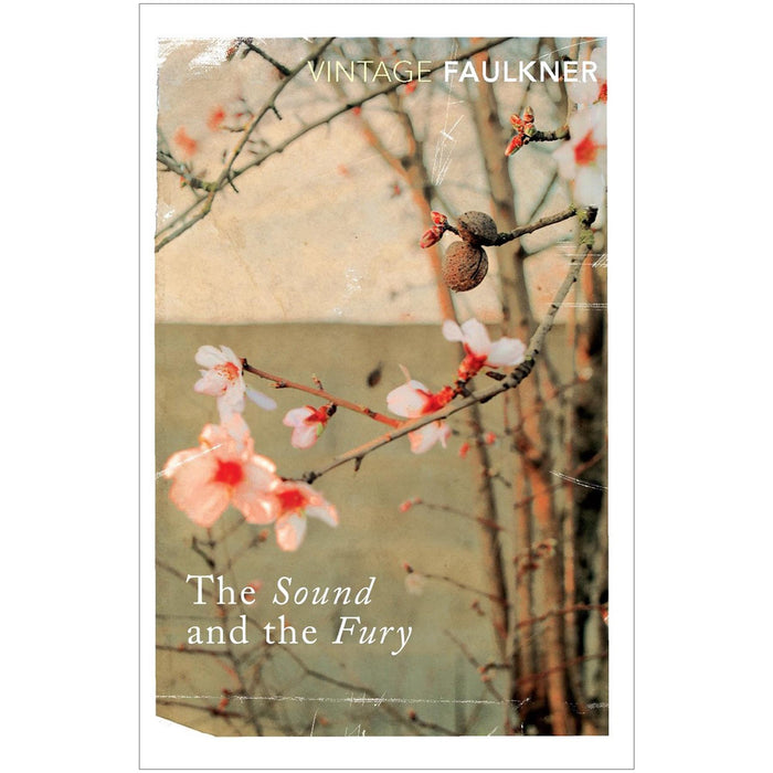 William Faulkner Two-Book Collection: Absalom, Absalom! & The Sound and the Fury – Timeless Southern Gothic Classics Exploring Family, Legacy, and the Human Condition