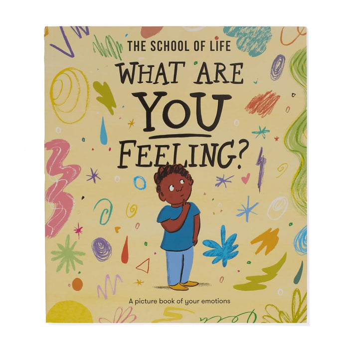 What Are You Feeling?: A picture book of your emotions