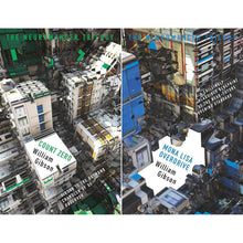 William Gibson's Sprawl Saga: Count Zero & Mona Lisa Overdrive