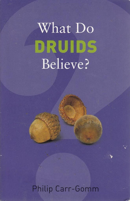 What Do Druids Believe? (What Do We Believe)