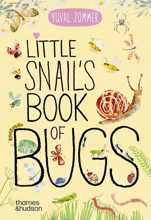 Little Snail's Book of Bugs (Big Book)