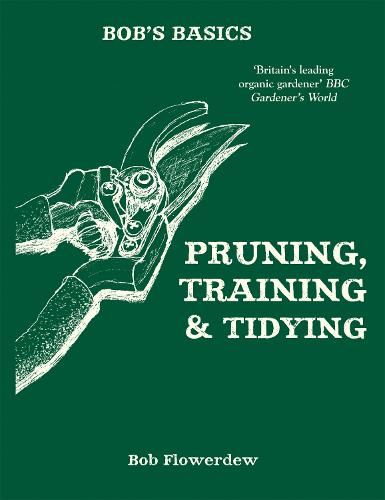 Bob's Basics: Pruning, Training and Tidying