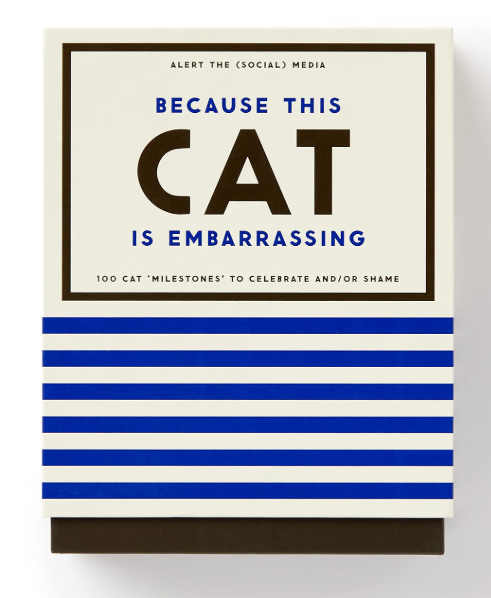 Because This Cat Is Embarrassing/Brilliant