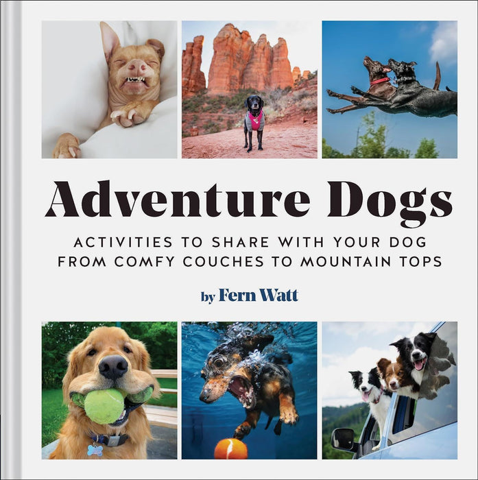 Adventure Dogs: Activities to Share with Your Dog―from Comfy Couches to Mountain Tops