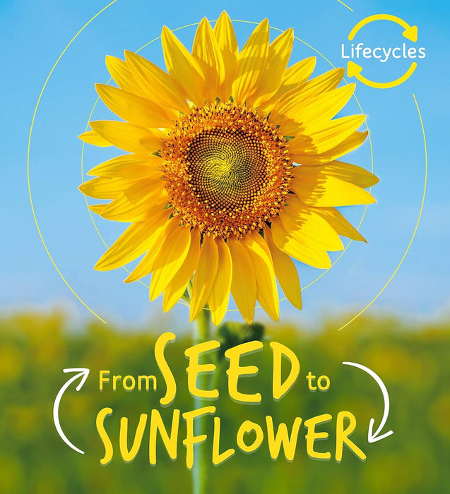 Lifecycles: Seed to Sunflower: 1- cover may vary