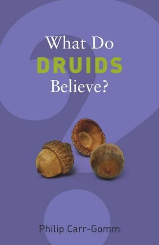 What Do Druids Believe? (What Do We Believe)