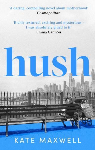 Hush: The heartbreaking and life-affirming debut novel which tells the truth about motherhood