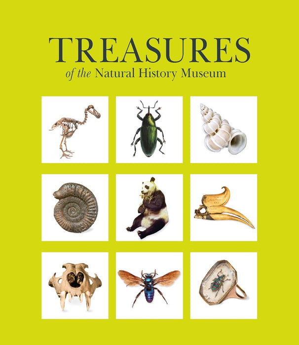 Treasures of the Natural History Museum: (Pocket edition)