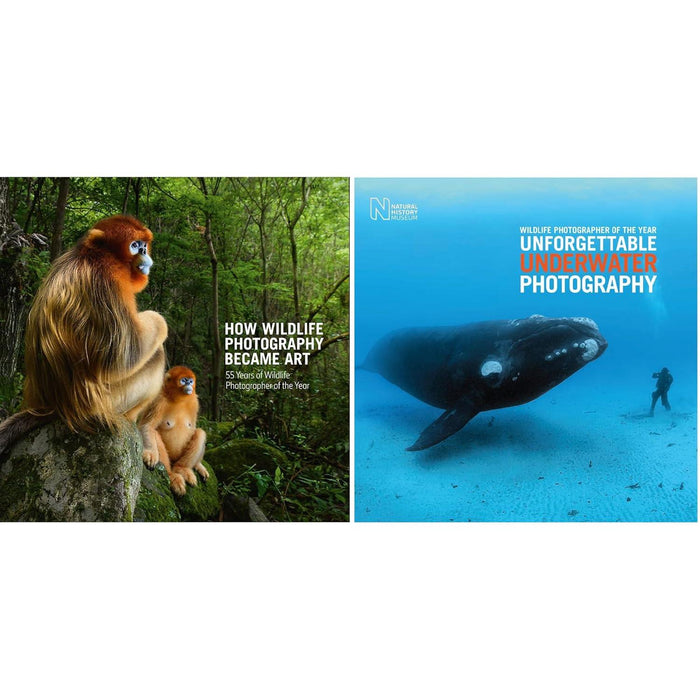 World of Wildlife Photography Collection by Rosamund Kidman Cox