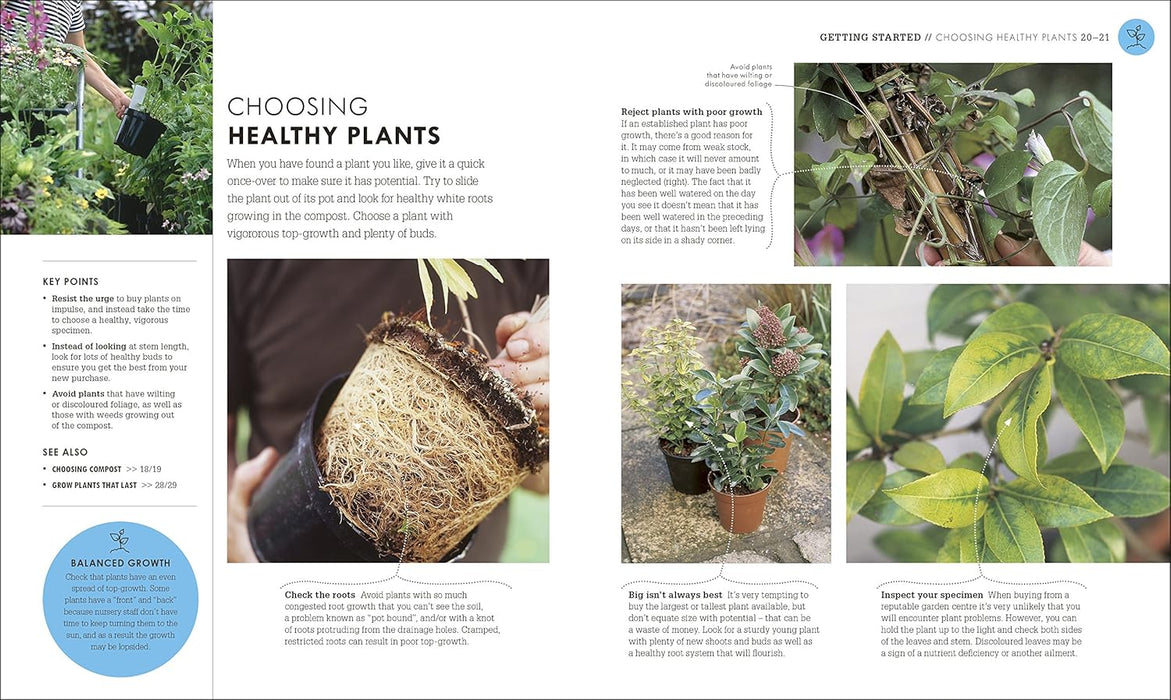 RHS How To Garden When You're New To Gardening