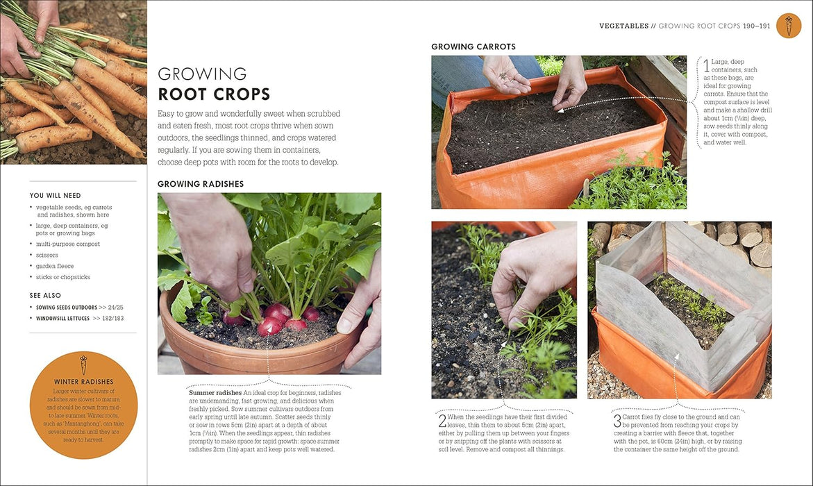 RHS How To Garden When You're New To Gardening