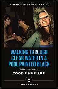 Walking Through Clear Water In a Pool Painted Black: Collected Stories (Canons)
