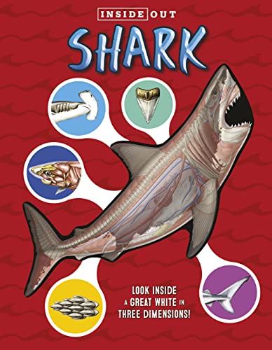 Inside Out Sharks: Look inside a great white in three dimensions!