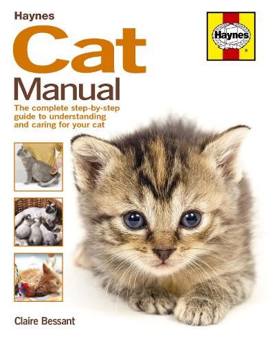 Haynes Owners + Workshop Cat Manual Handbook
