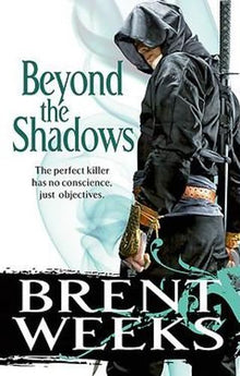 Beyond The Shadows: Book 3 of the Night Angel
