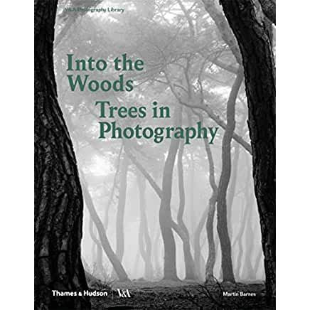 Into the Woods: Trees in Photography: Trees and Photography (Photography Library series Victoria and Albert Museum)