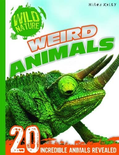 Wild Nature - Weird Animals