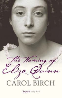 The Naming Of Eliza Quinn