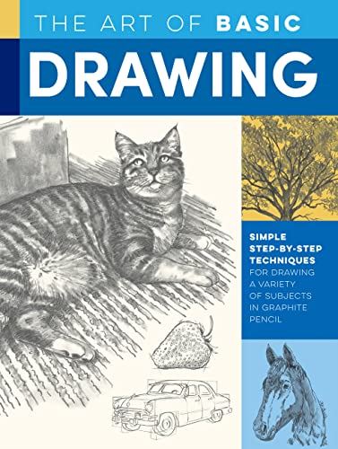 Basic Script Drawing The Art of Basic Drawing: Simple step-by-step techniques for drawing a ...