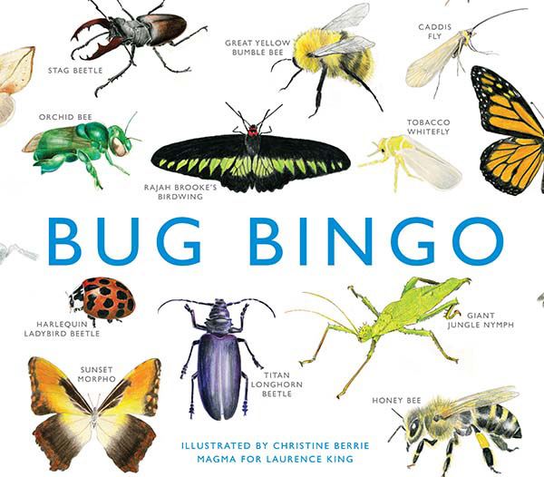 Bug Bingo (Magma for Laurence King)